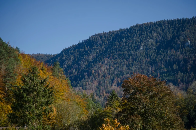 a mountain and trees covered in fall foliage