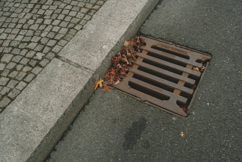 a street grate that is on the sidewalk