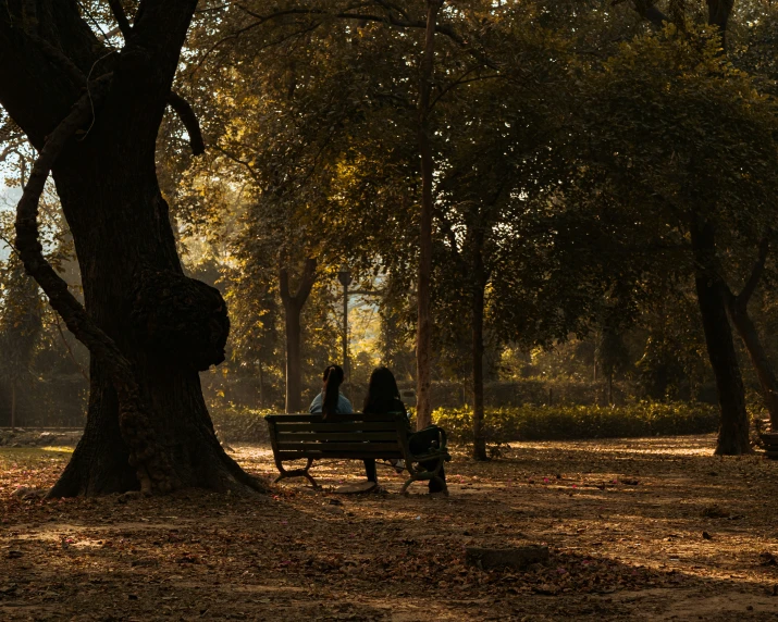 the people sit on a bench under some trees