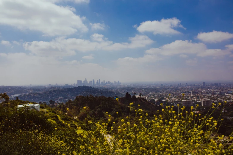 a view of a city is shown from the top of a hill