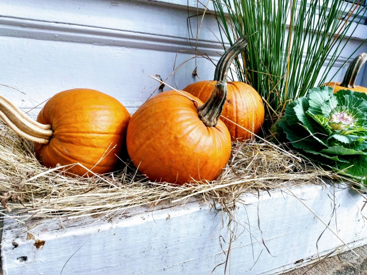 a bunch of pumpkins sit outside of the building