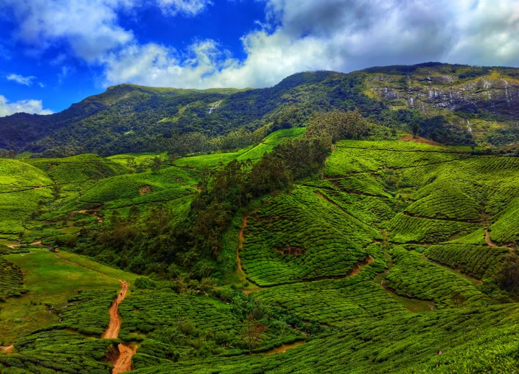 a lush green hillside with hills and hills in the background