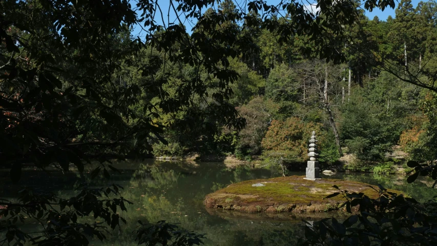 a pond in the middle of a forest