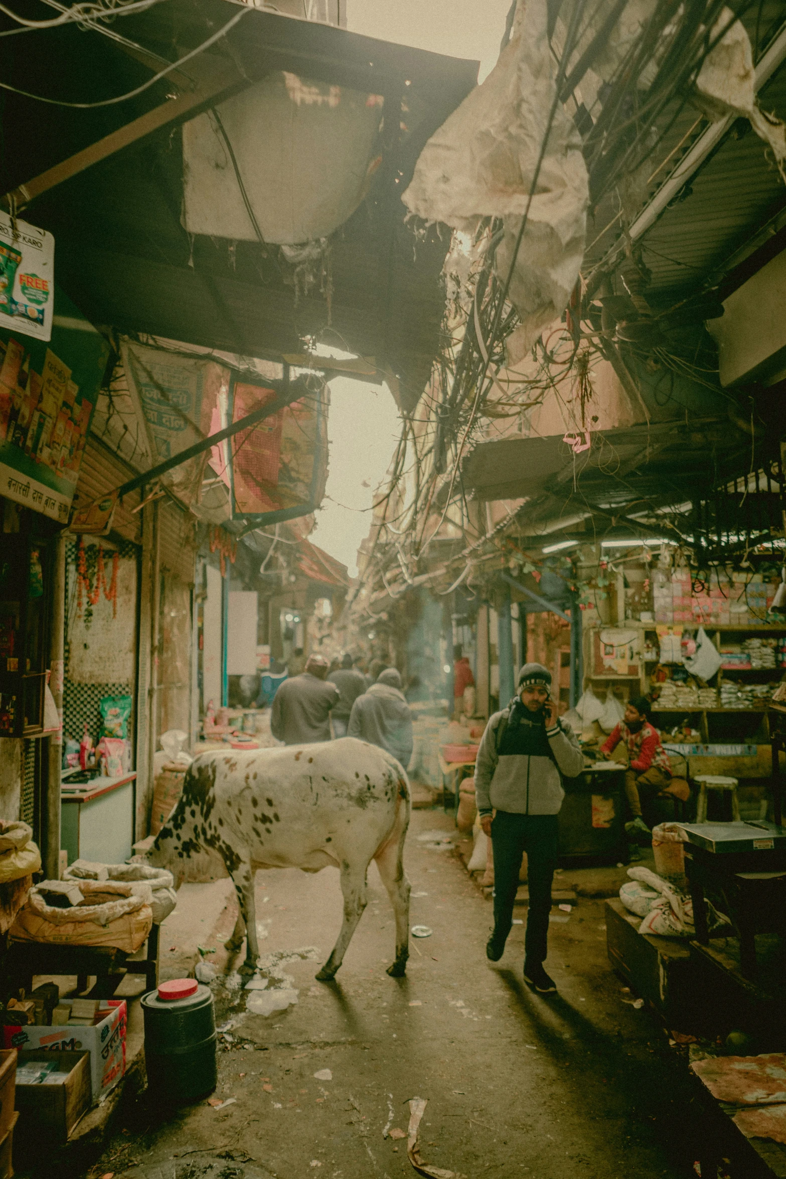 a man and cow walk through an alley