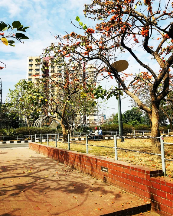 a fenced park in front of trees and a street