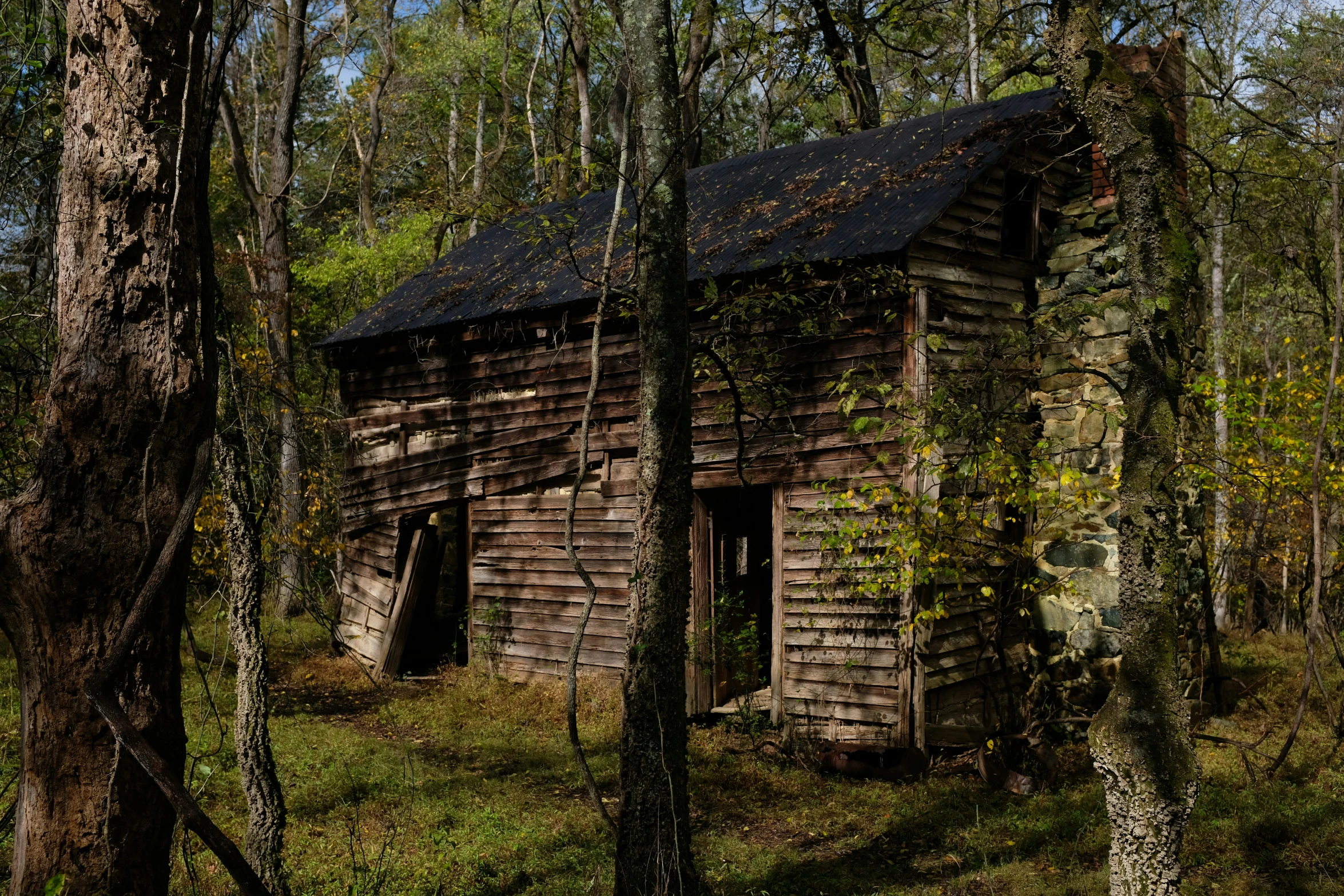 an old building in the middle of the woods