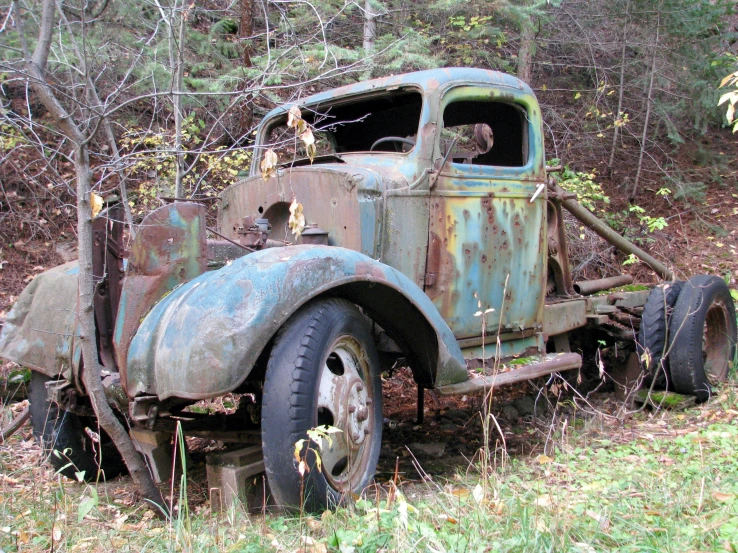 an old, run down truck sits in the grass near trees