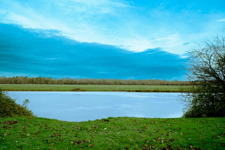 a field with a river near some green grass and trees