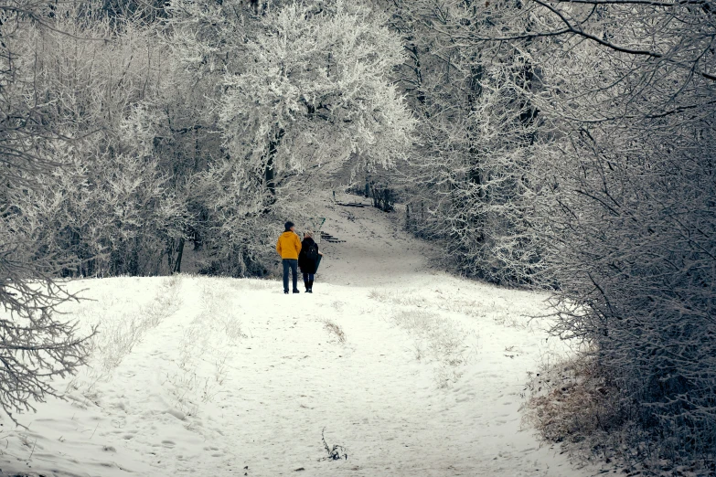 two people are walking down the path in the snow