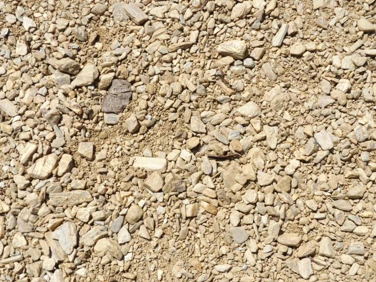 many small rocks and gravel all over a dirt surface