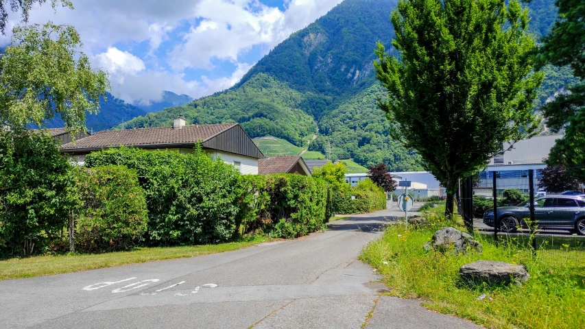 a winding driveway surrounded by lush green forest