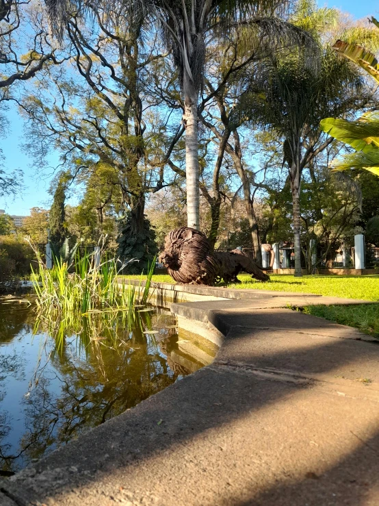 the path and trees by the water are empty