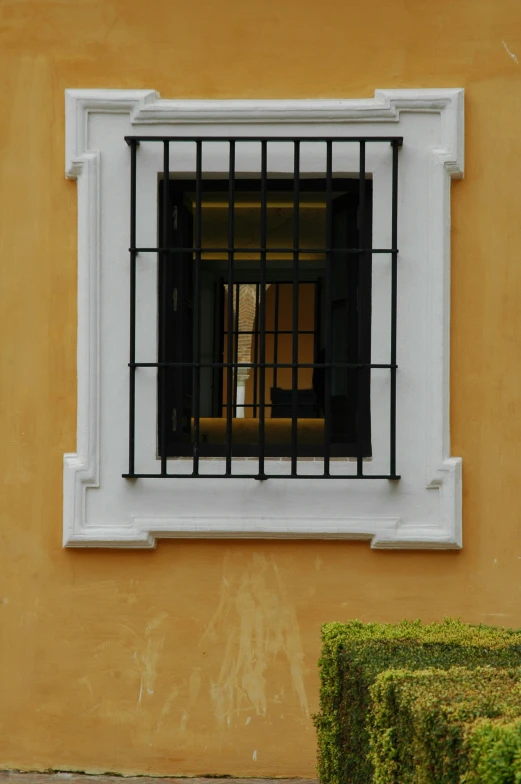 a window is open with the bars on the windowsill