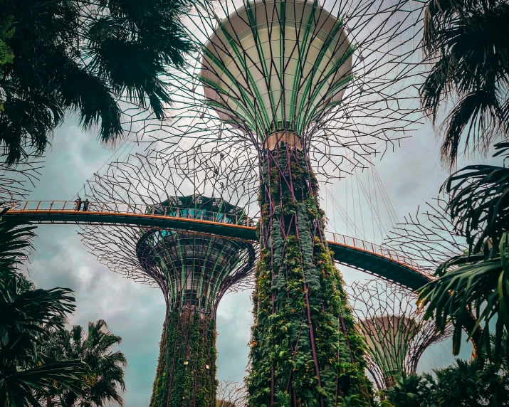 a large tree with people on top of it