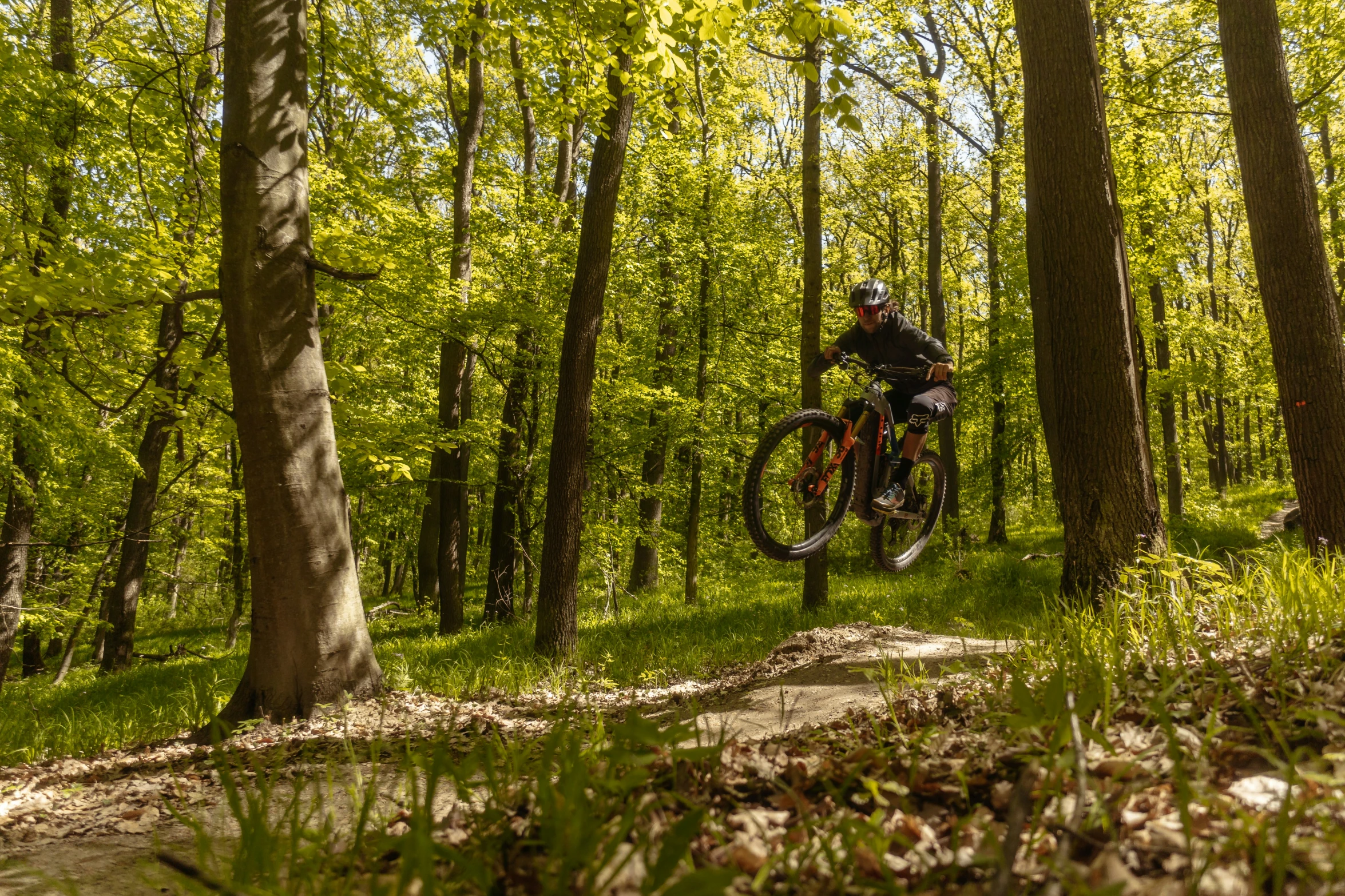 a cyclist riding down the road in the woods