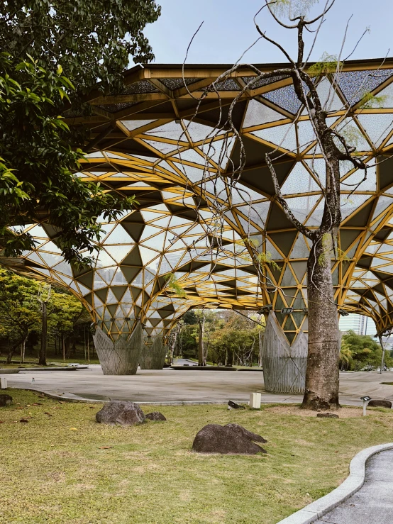 a couple of large trees in a park