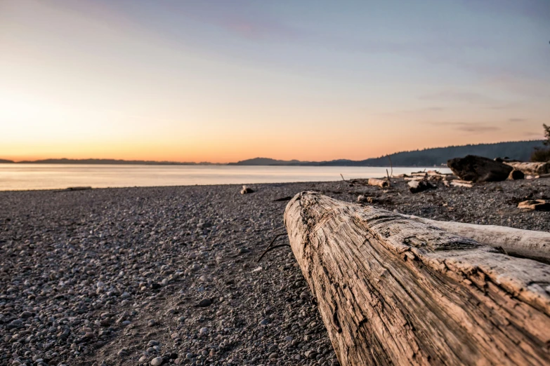 a bench made out of logs at the beach