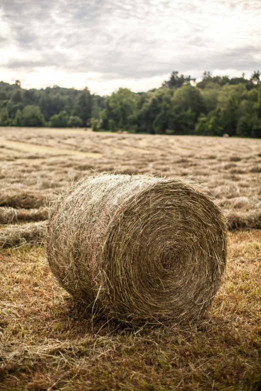 a bale of hay is sitting in an open field