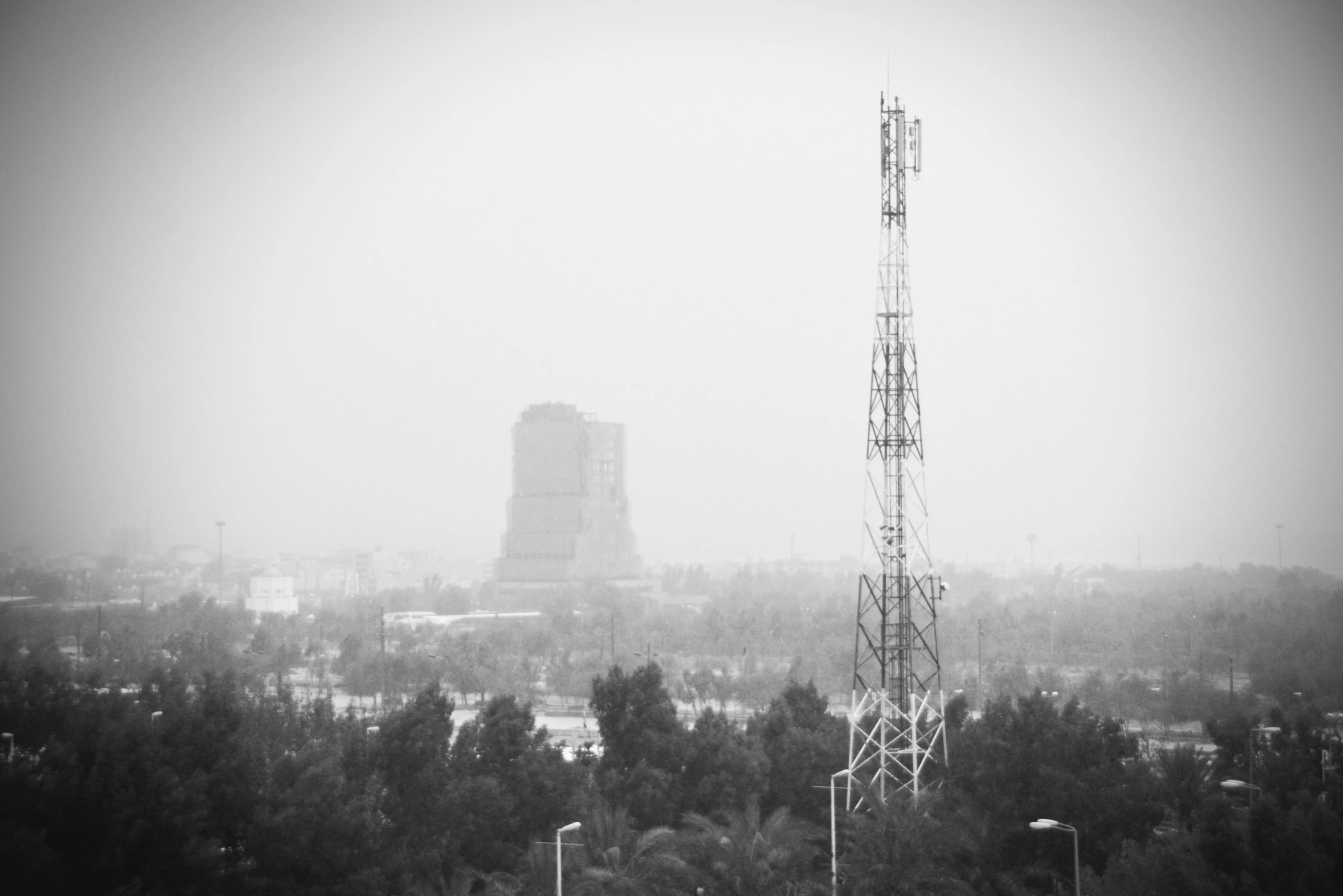 a view of a very tall building next to a forest