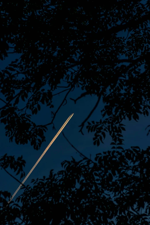 a white jet is flying in the night sky through trees