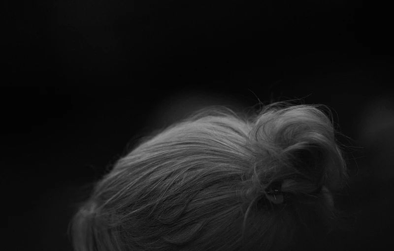 black and white pograph of a woman's hair with blonde, top knot