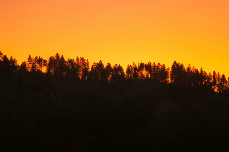 a plane flying in the distance in front of some trees