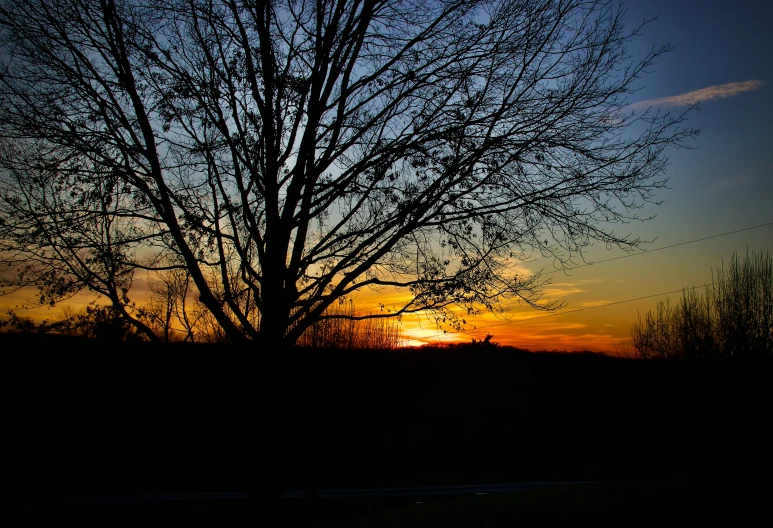 the sun sets over a field and trees