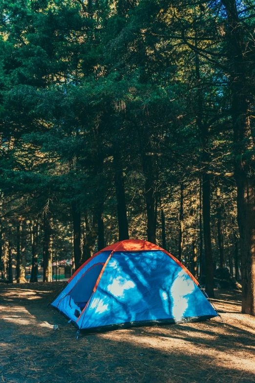 a bright blue tent sits in the woods