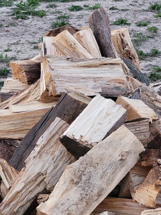 a pile of wood laying on top of a sandy beach