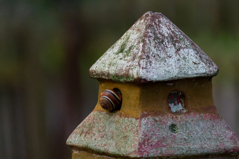 a rusty rusted fire hydrant surrounded by trees