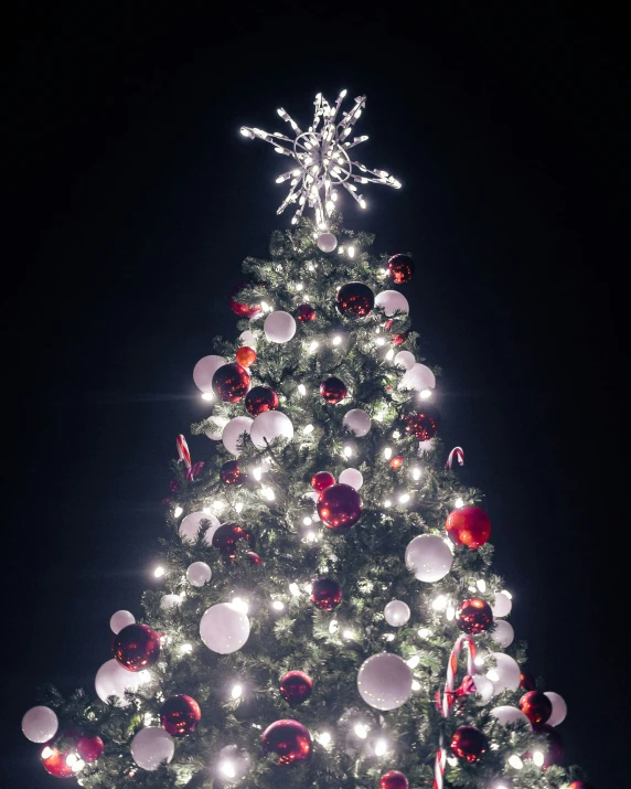 a decorated christmas tree has been lit up