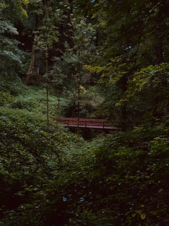 a bench and table near a forest