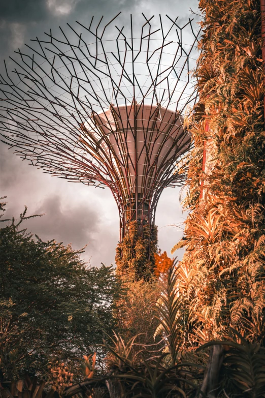 a tall tree in front of some trees