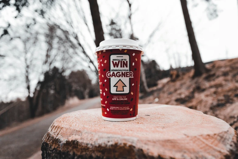 a cup of beverage sitting on a tree stump