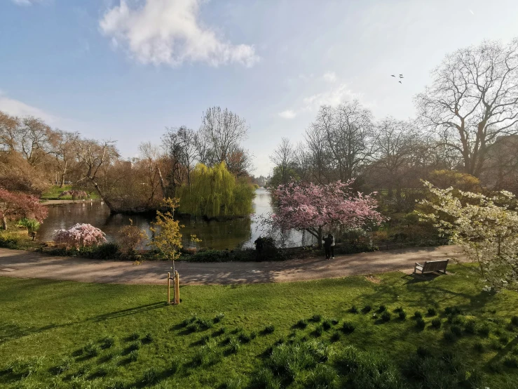 a lush green field with trees and flowers