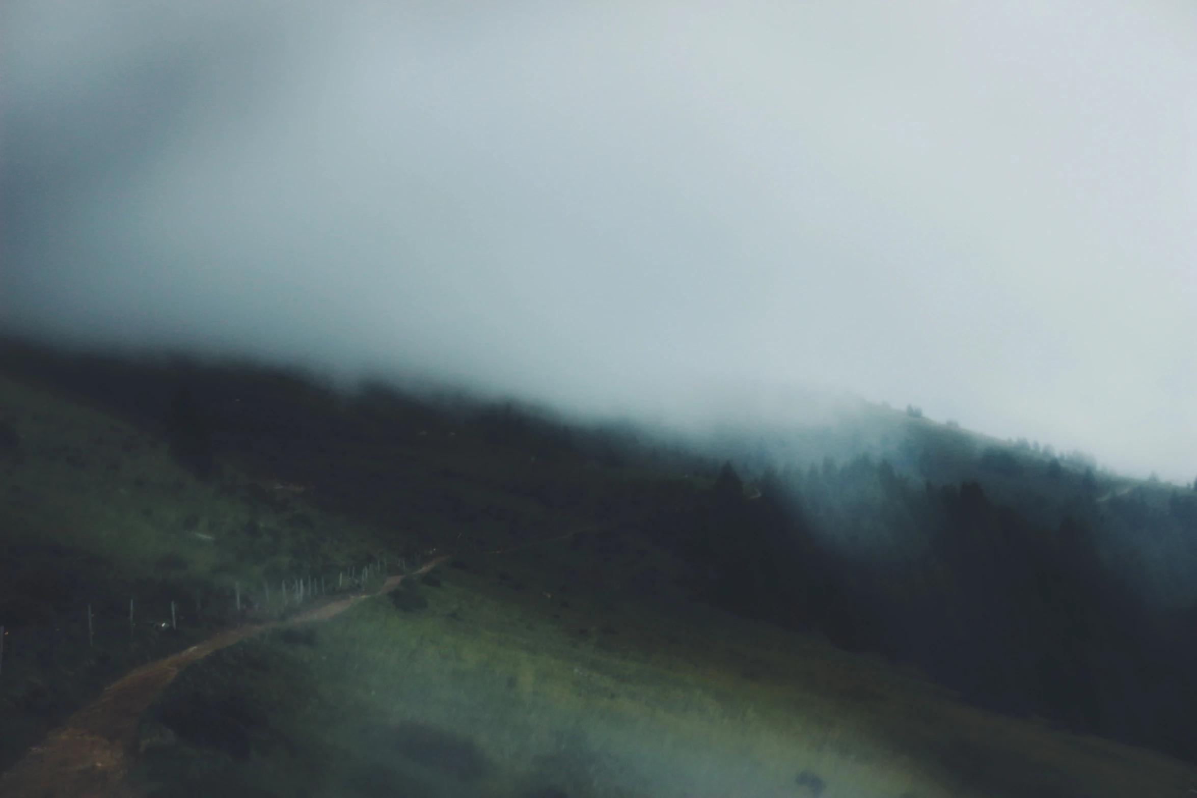 a hazy mountain with some bushes and trees in it