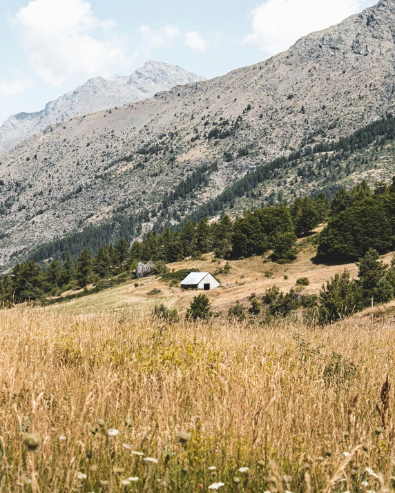 a truck in a field near a hill