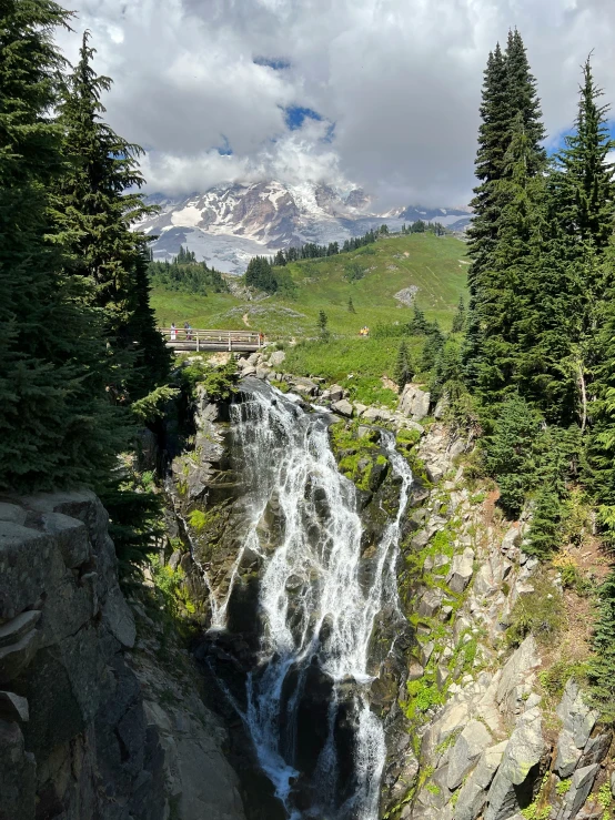 the valley is surrounded by many tall trees