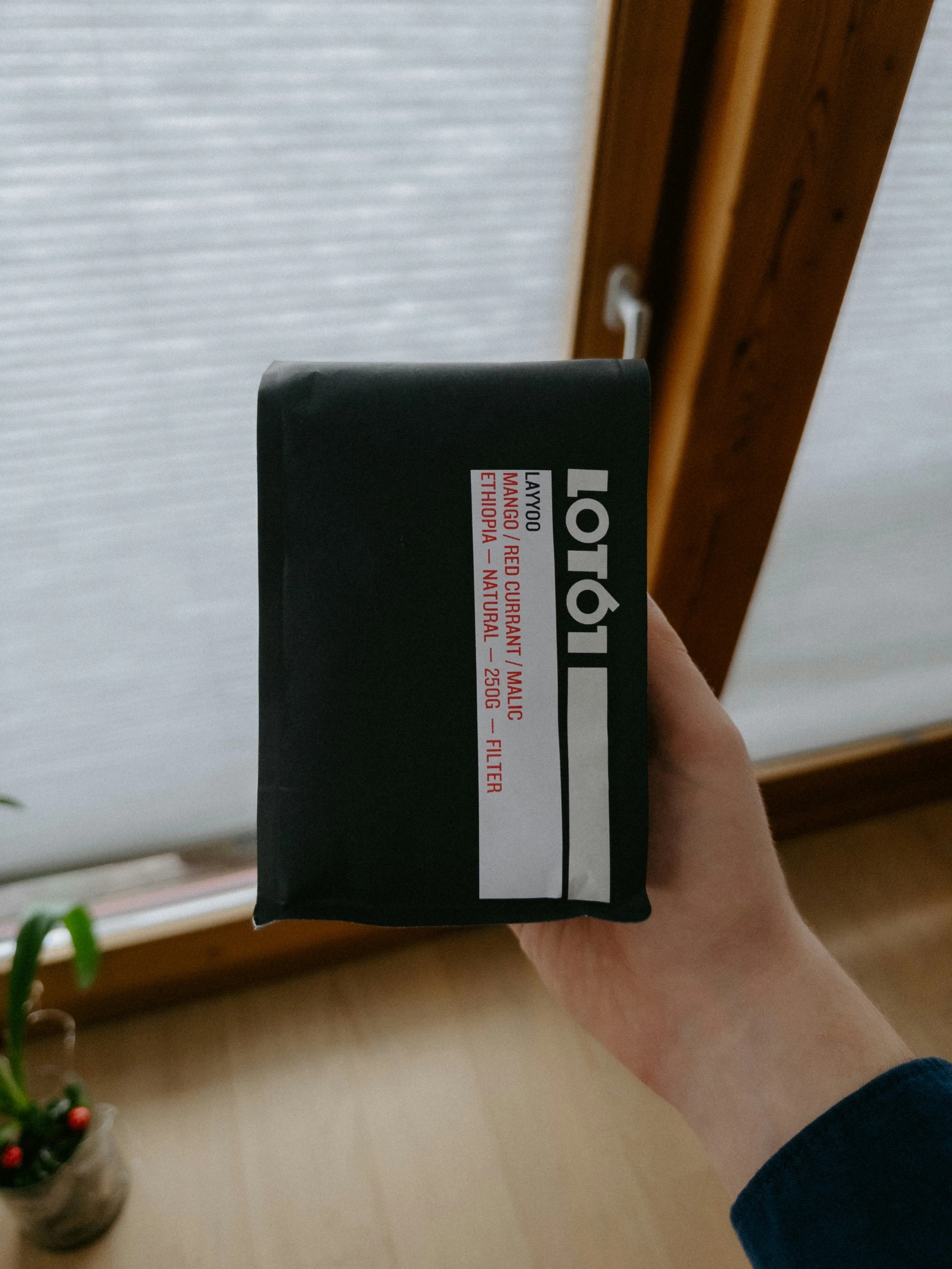 a person holds an empty book by a wooden window