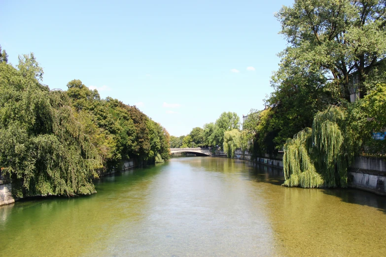 some trees green water a bridge and a road