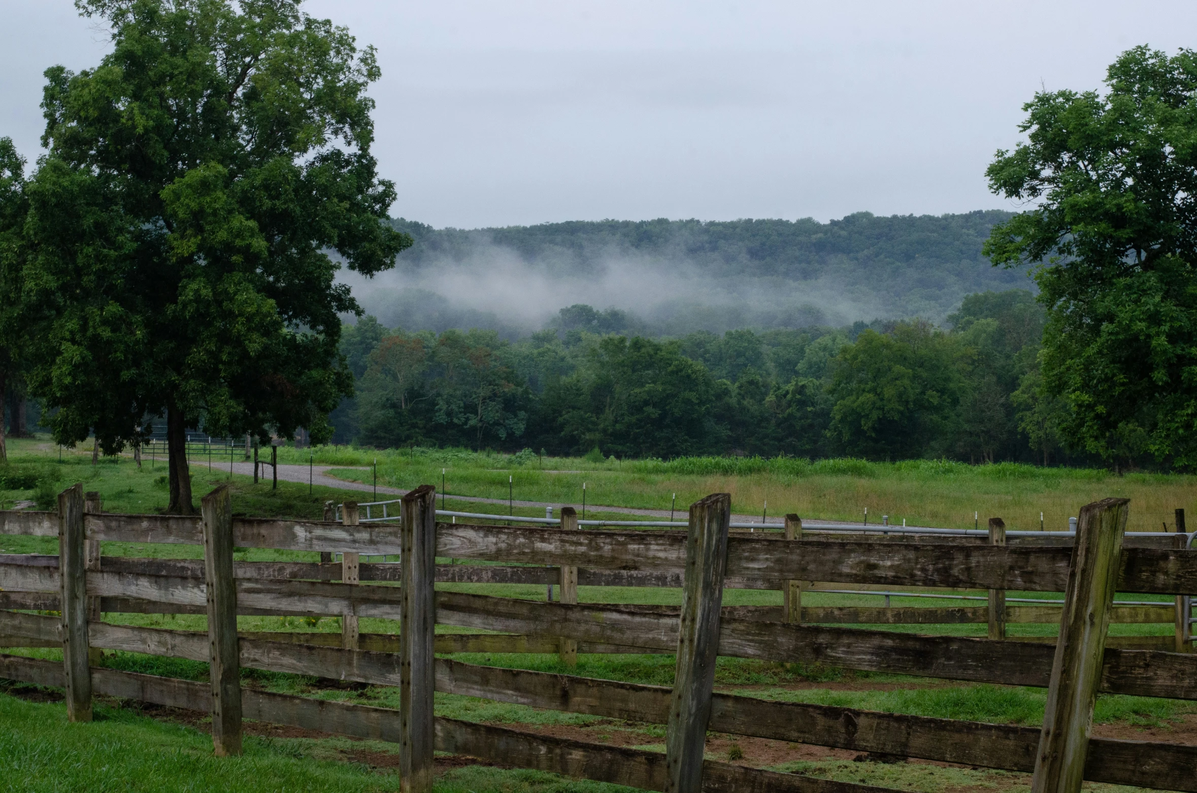 a split rail fence that runs parallel to the road and overlooks an empty pasture with trees