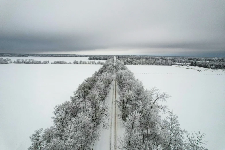 a very long road is surrounded by trees