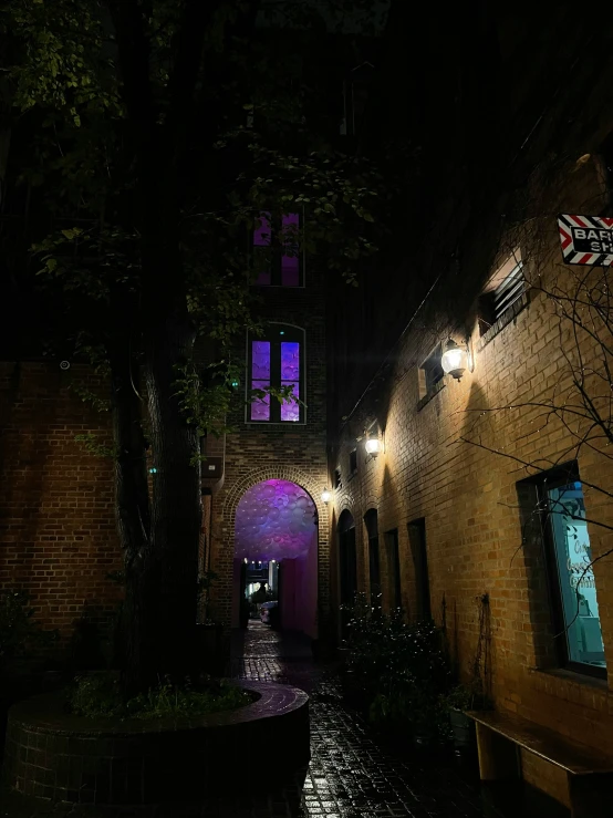 a small alleyway with trees and a purple light on the windows