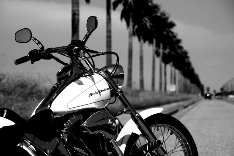 a motor bike is parked next to a palm tree