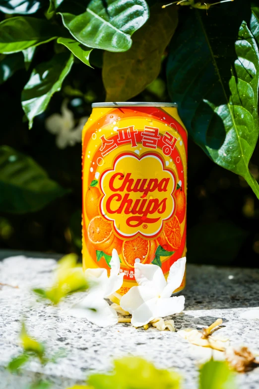 a beer can of chapa chipp with a flower on the ground
