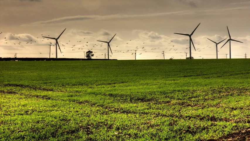 a bunch of wind turbines on the side of a hill