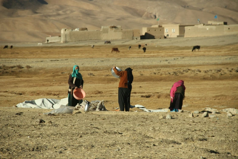 two women looking at cows in a mountainous desert area