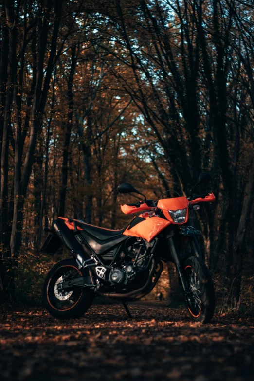 a motorcycle parked next to a forest on top of a road