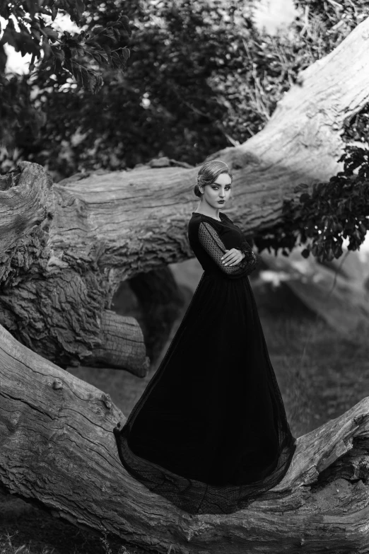 a woman in dress standing on a log