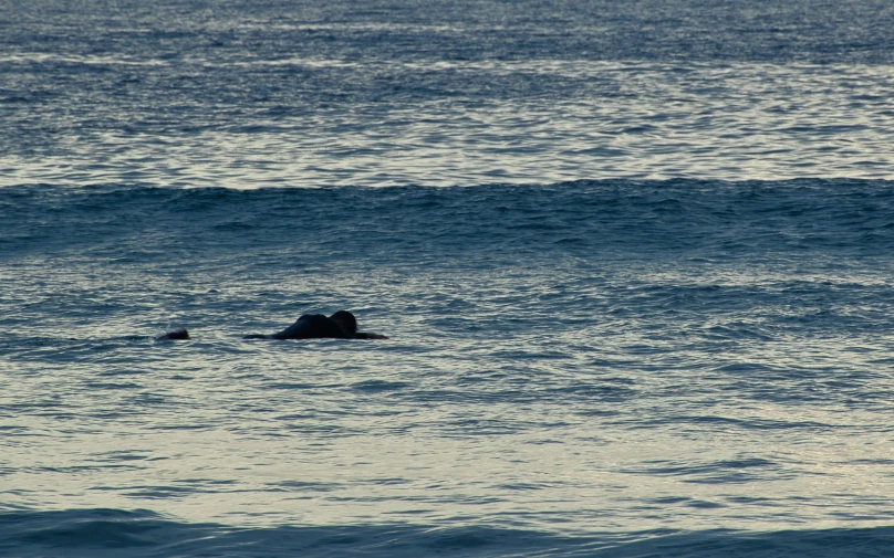 some dark blue ocean water and one lone person